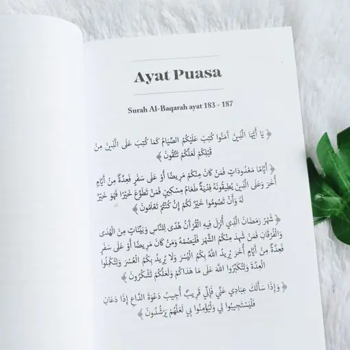 Untaian Faedah dari Ayat Puasa by RUMAYSHO - Gambar 4